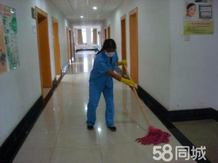 家庭保洁与专业清洗服务 打造洁净舒适的家居环境